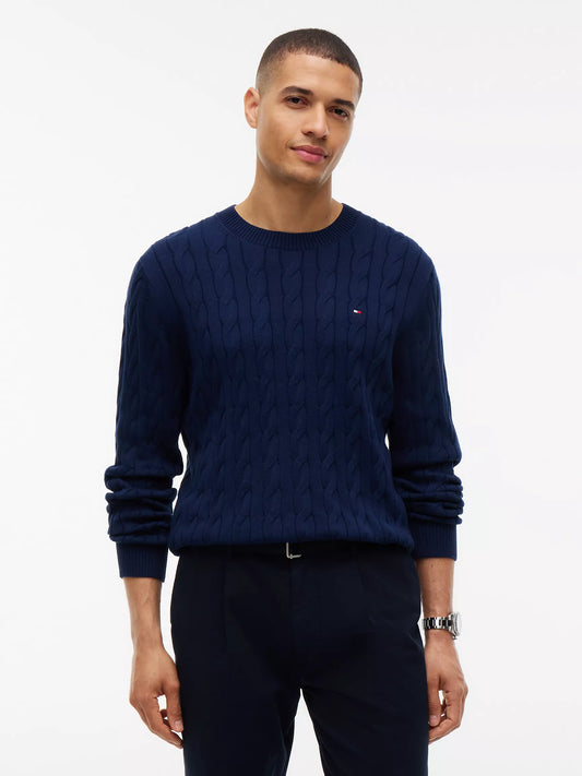 Men Cable Knit Sweater