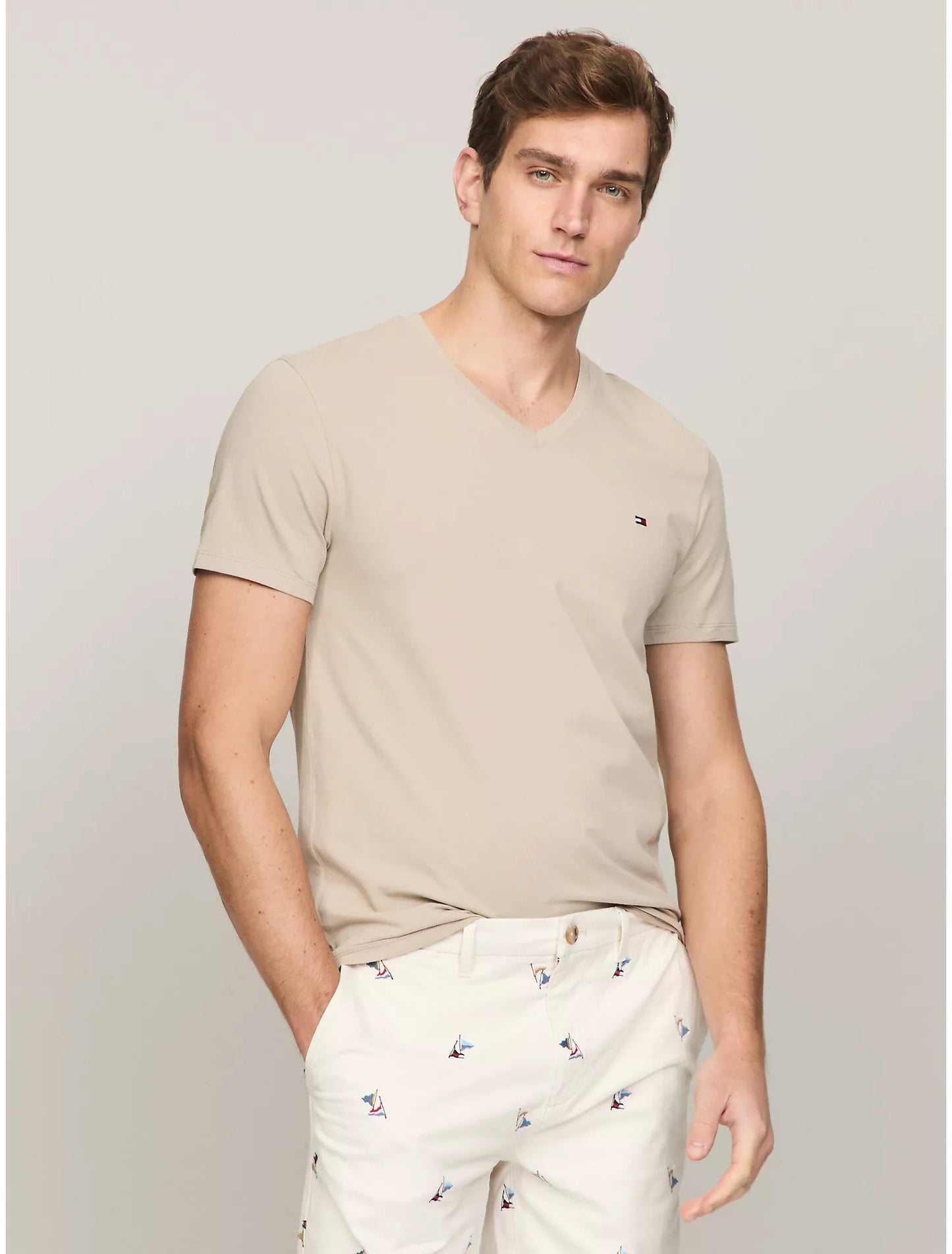 Men Slim Fit Vneck Tee