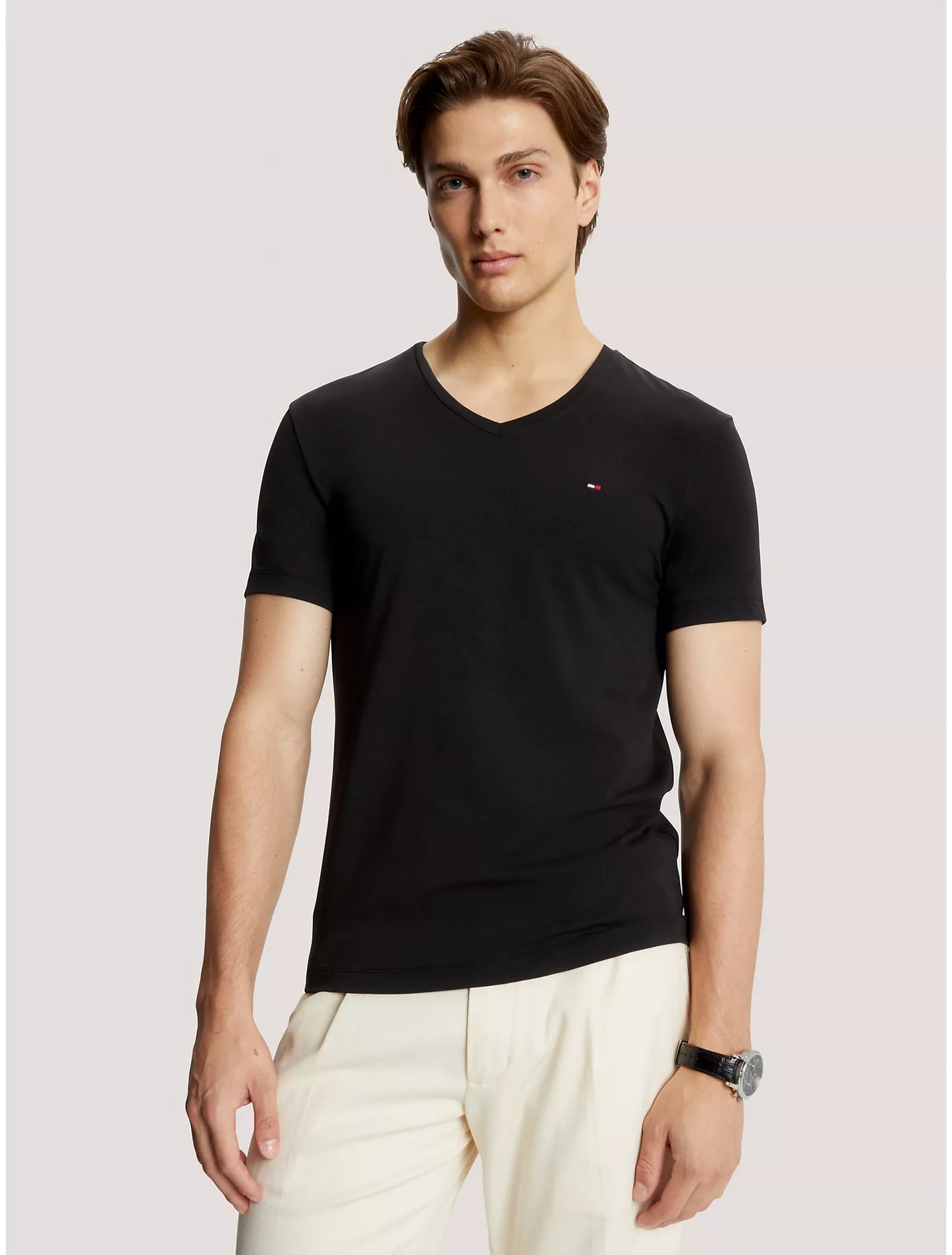 Men Slim Fit Vneck Tee
