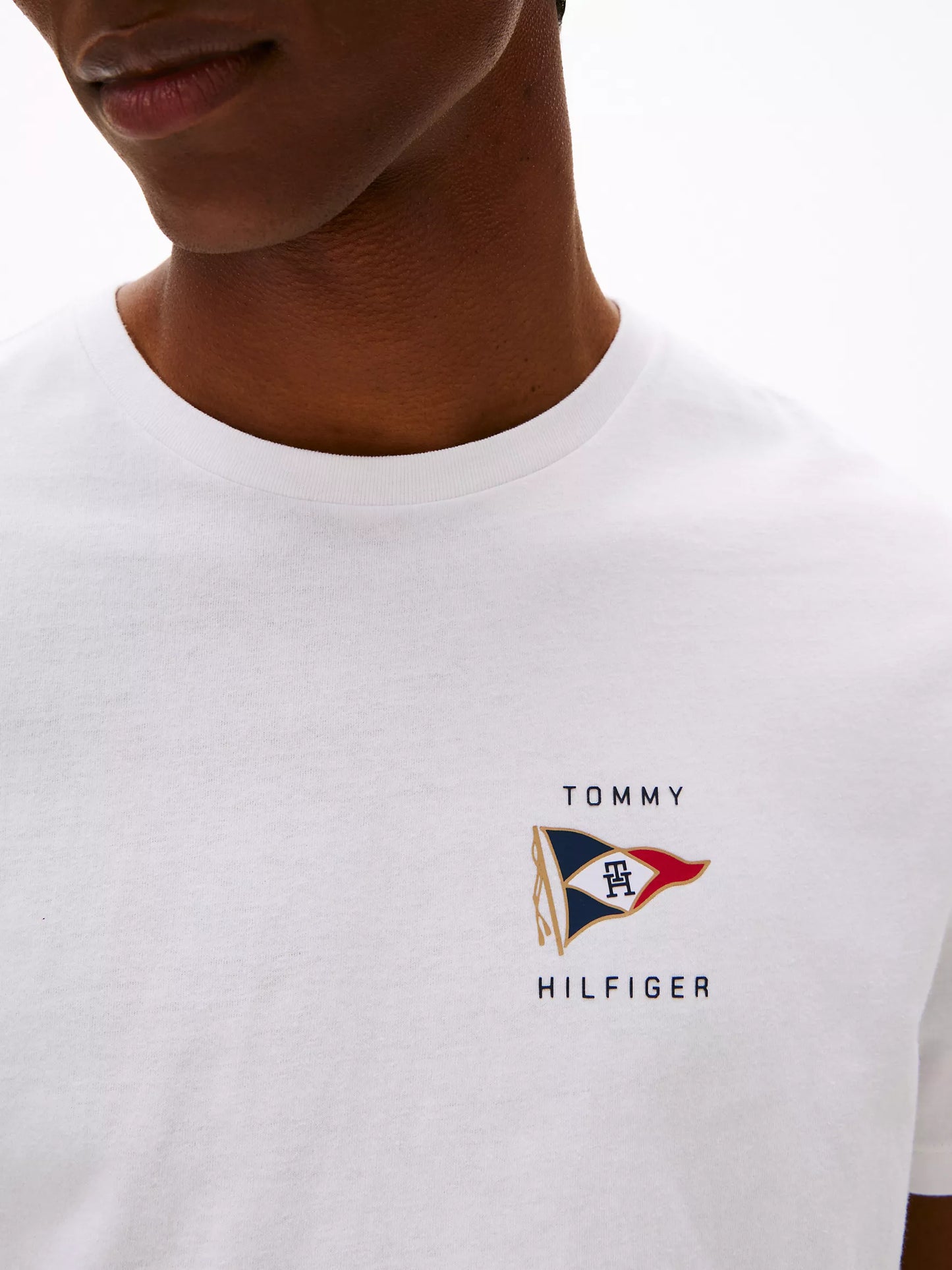 Men Nautical Flag Graphic Tee