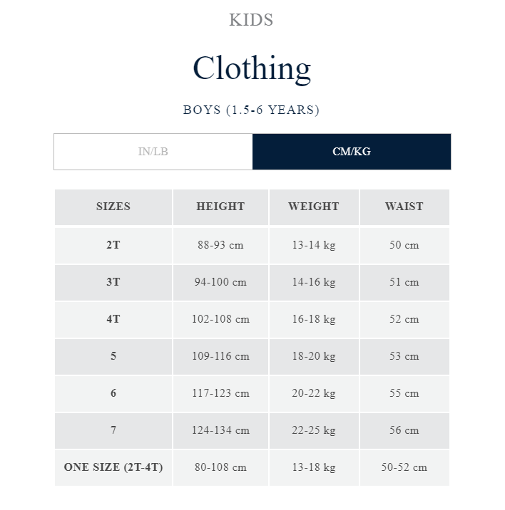Boys Big Pony Cotton Jersey Tee